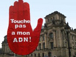 Touche pas à mon ADN